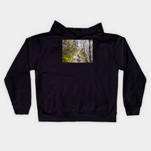 Winter Walk, Wilsons Promontory Kids Hoodie